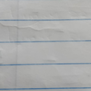 Knapsack sprayer 16L